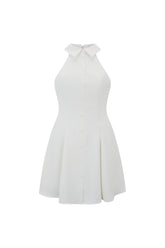 Flowy Collared Mini Dress