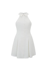 Flowy Collared Mini Dress