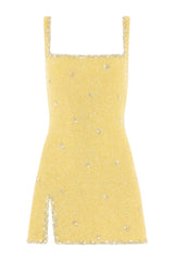 Athena Mini Dress — packshot