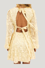 Embroidered Chiffon Long Sleeve Mini Dress — model side