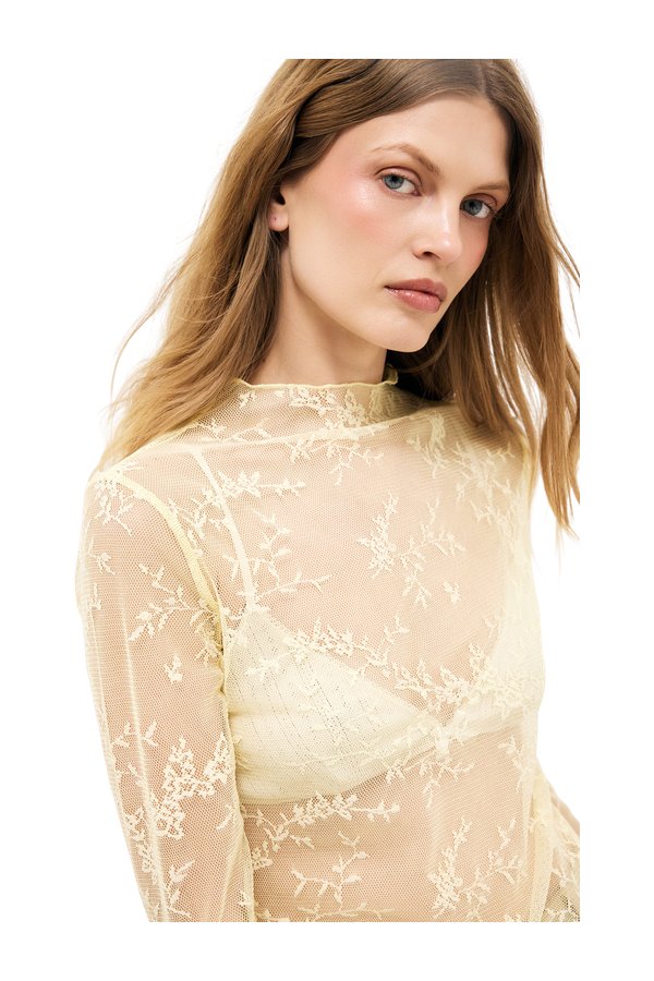 Long Sleeve Lace Top — packshot