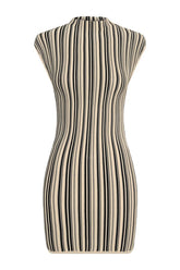 Meggie Striped Sleeveless Mini Dress — packshot