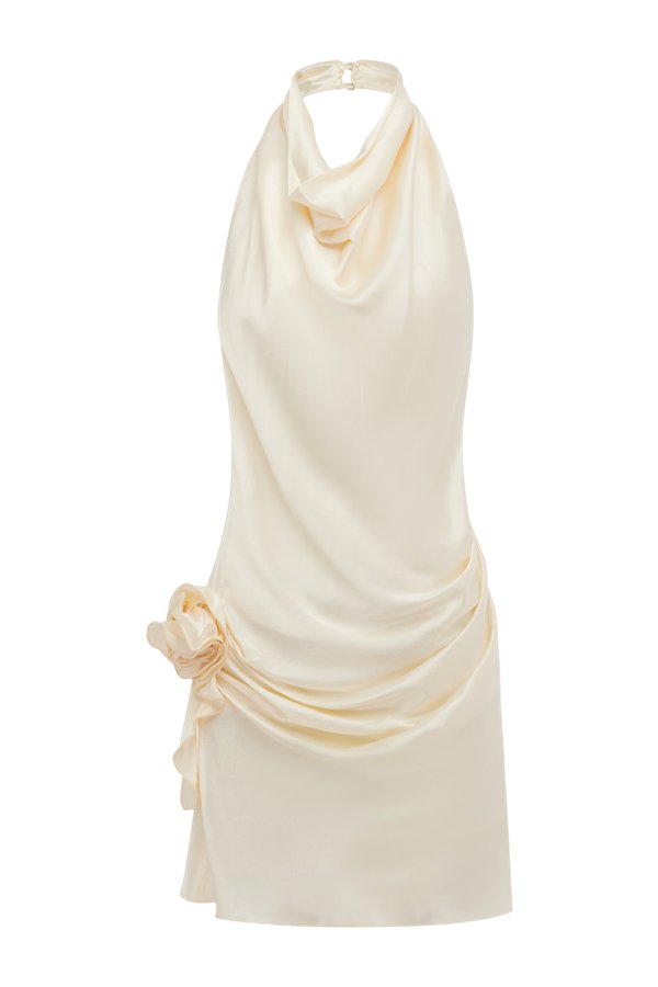 Rosa Dress — packshot