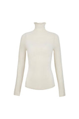 Semi Sheer High Neck Longsleeve Top — packshot