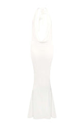 Winona Dress — packshot