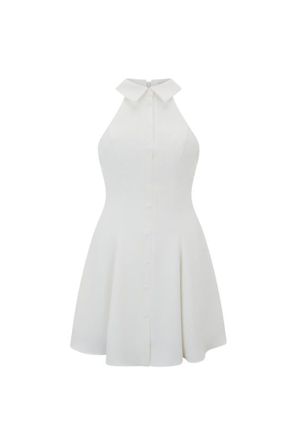 Flowy Collared Mini Dress
