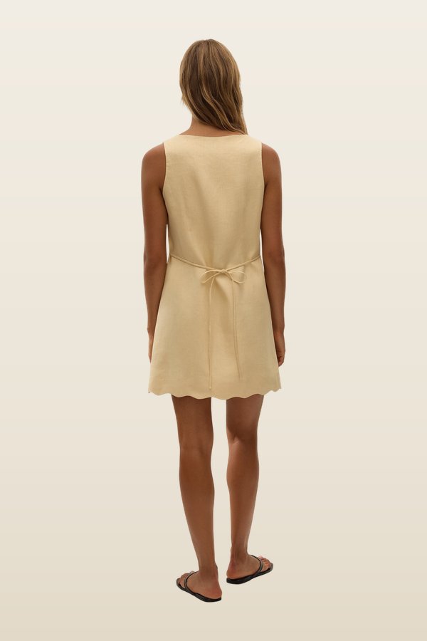 Alondra Mini Dress Daffodil — model back