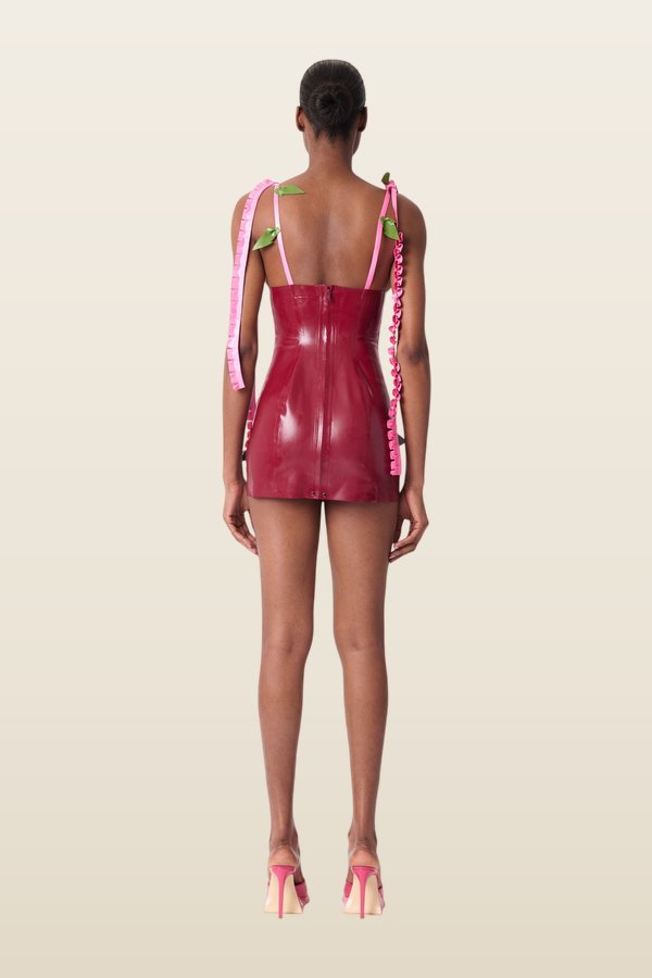 Annamaria Latex Dress — model back