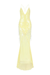 Asteria Dress — packshot