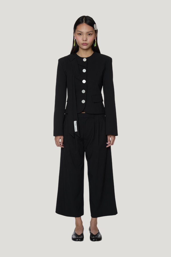 Briar Jacket — carry 2
