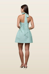 Cotton Pinstripe Mini Dress — model back
