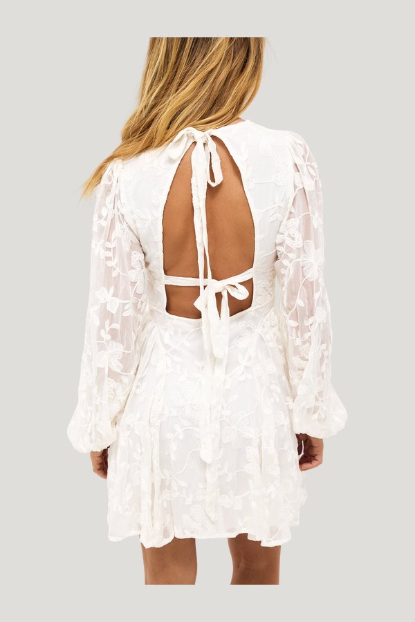 Embroidered Chiffon Long Sleeve Mini Dress — model front