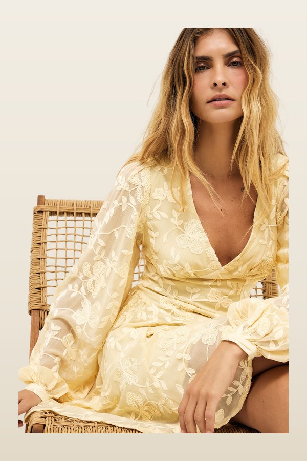 Embroidered Chiffon Long Sleeve Mini Dress — model back