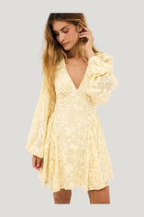 Embroidered Chiffon Long Sleeve Mini Dress — model front