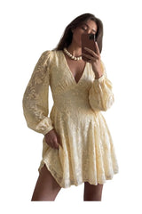Embroidered Chiffon Long Sleeve Mini Dress — packshot
