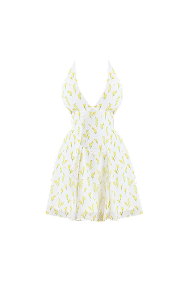 Iris Halter Neck Mini Dress