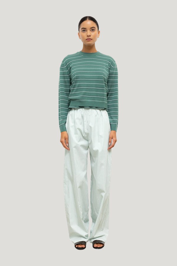 James Stripe Classic Crew — model front