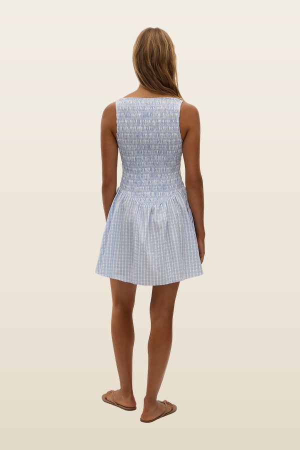 Martina Mini Dress Paloma Check — model back