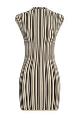 Meggie Striped Sleeveless Mini Dress — packshot