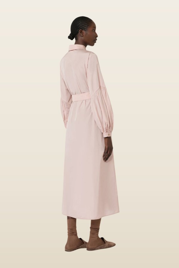 Taffeta shirt dress — model back