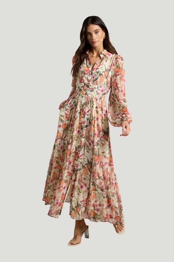 Paros Shirt Dress (The Orangery) — model front