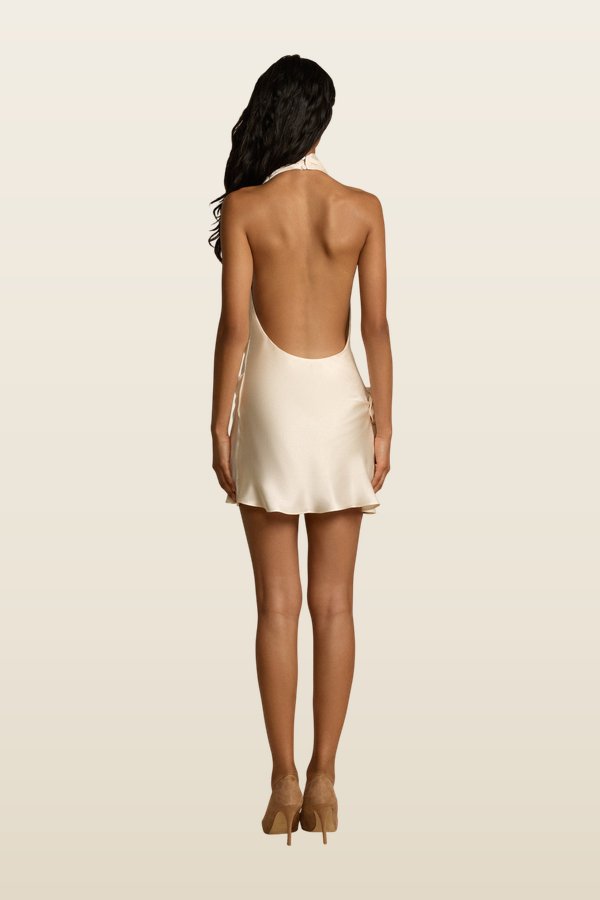 Rosa Dress — model back