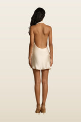 Rosa Dress — model back