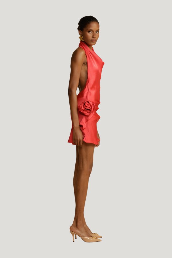 Rosa Dress Punch — model side