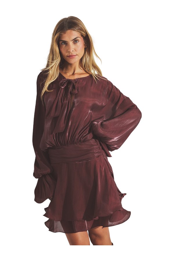 Ruched Waist Ruffle Mini Dress — packshot