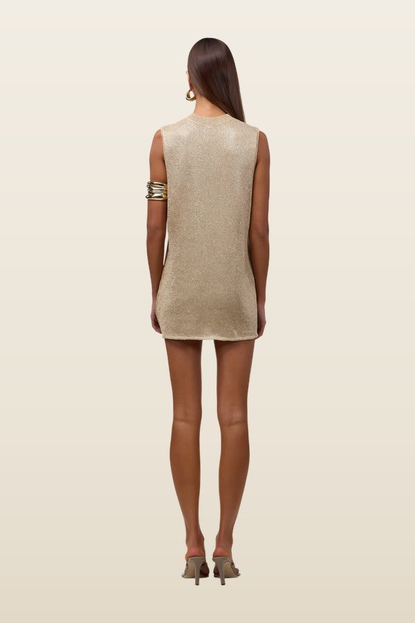 Sleeveless Knit Mini Dress (Light Gold Sequin) — model back