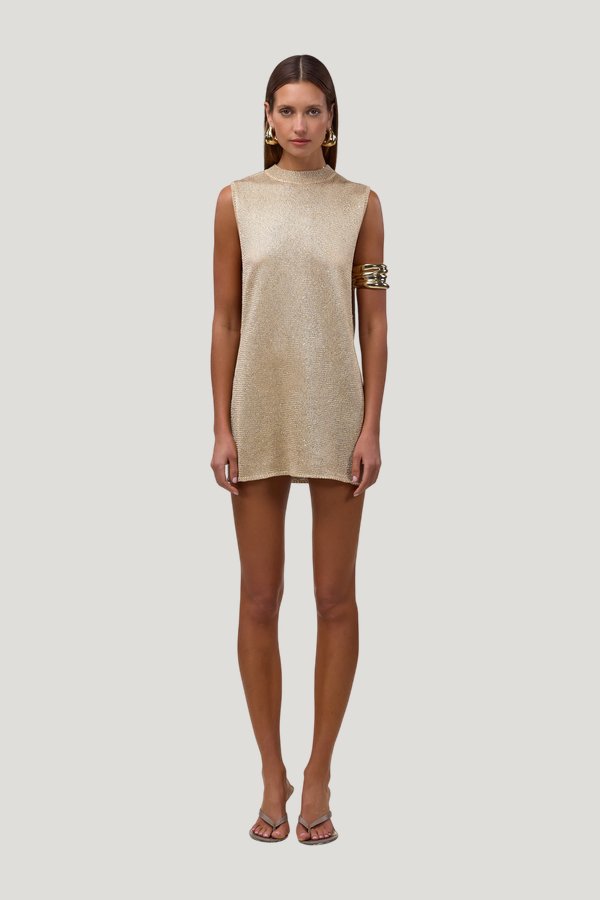 Sleeveless Knit Mini Dress (Light Gold Sequin) — model front