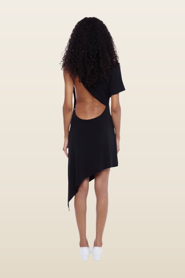 Sonar Dress — model back