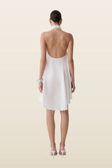 Sydney Asymmetrical Satin Halter Mini Dress — model back
