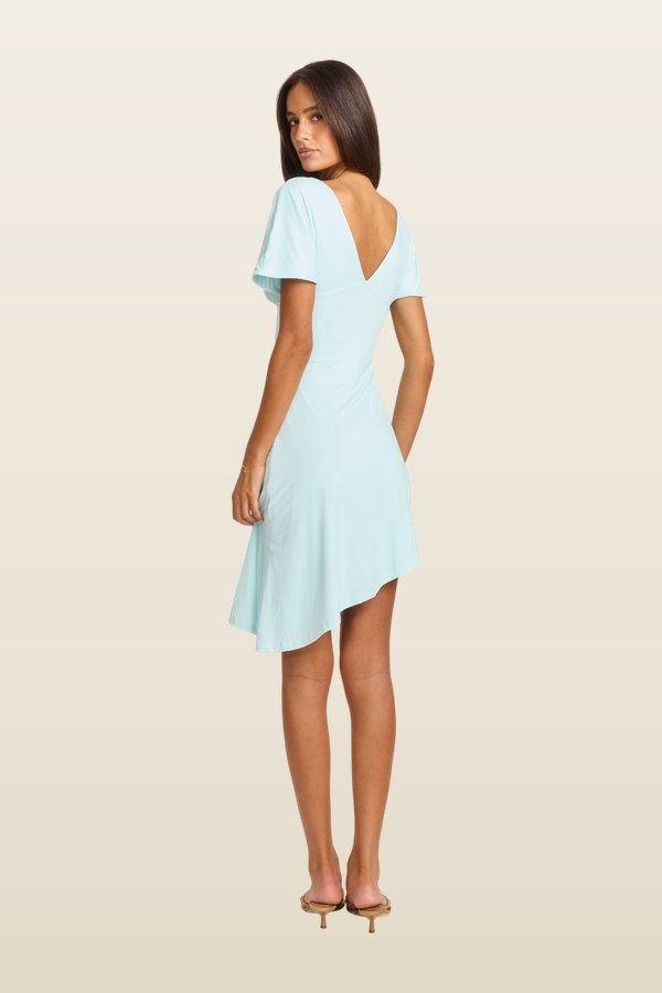 Winnie Mini Dress — model back