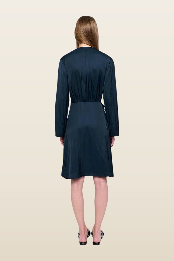 Remoir Satin Dress — model back